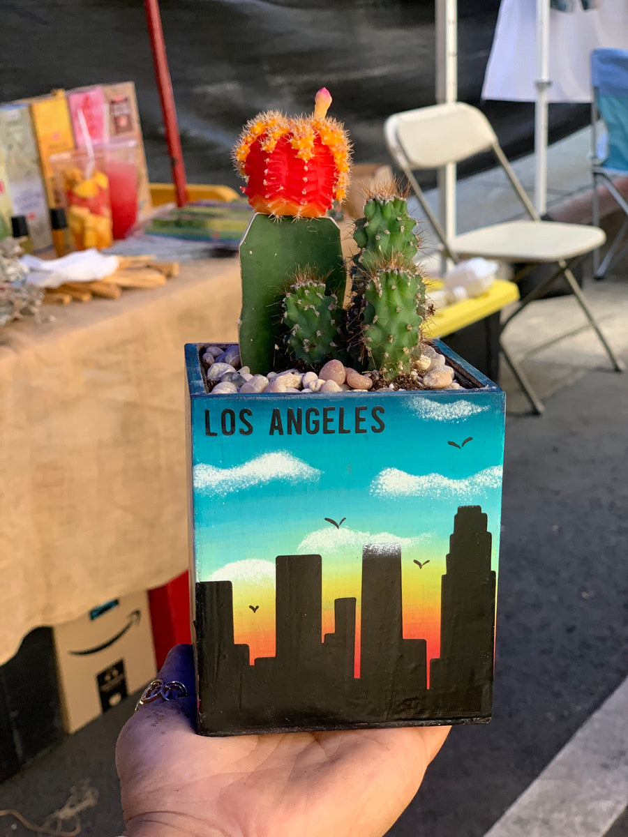 plant pots los angeles Los Angeles Skyline Planter – The LA Garden