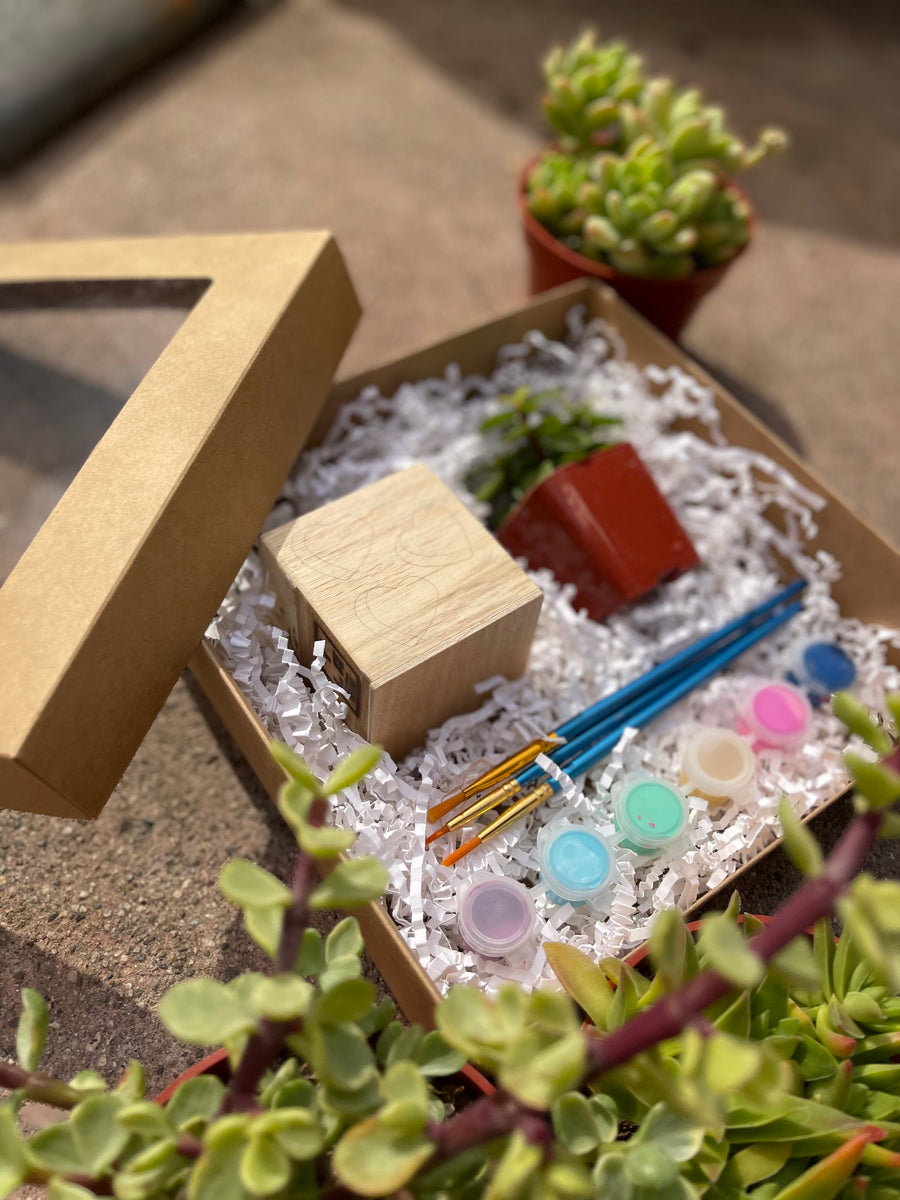 Mini DIY Paint Kit – The LA Garden