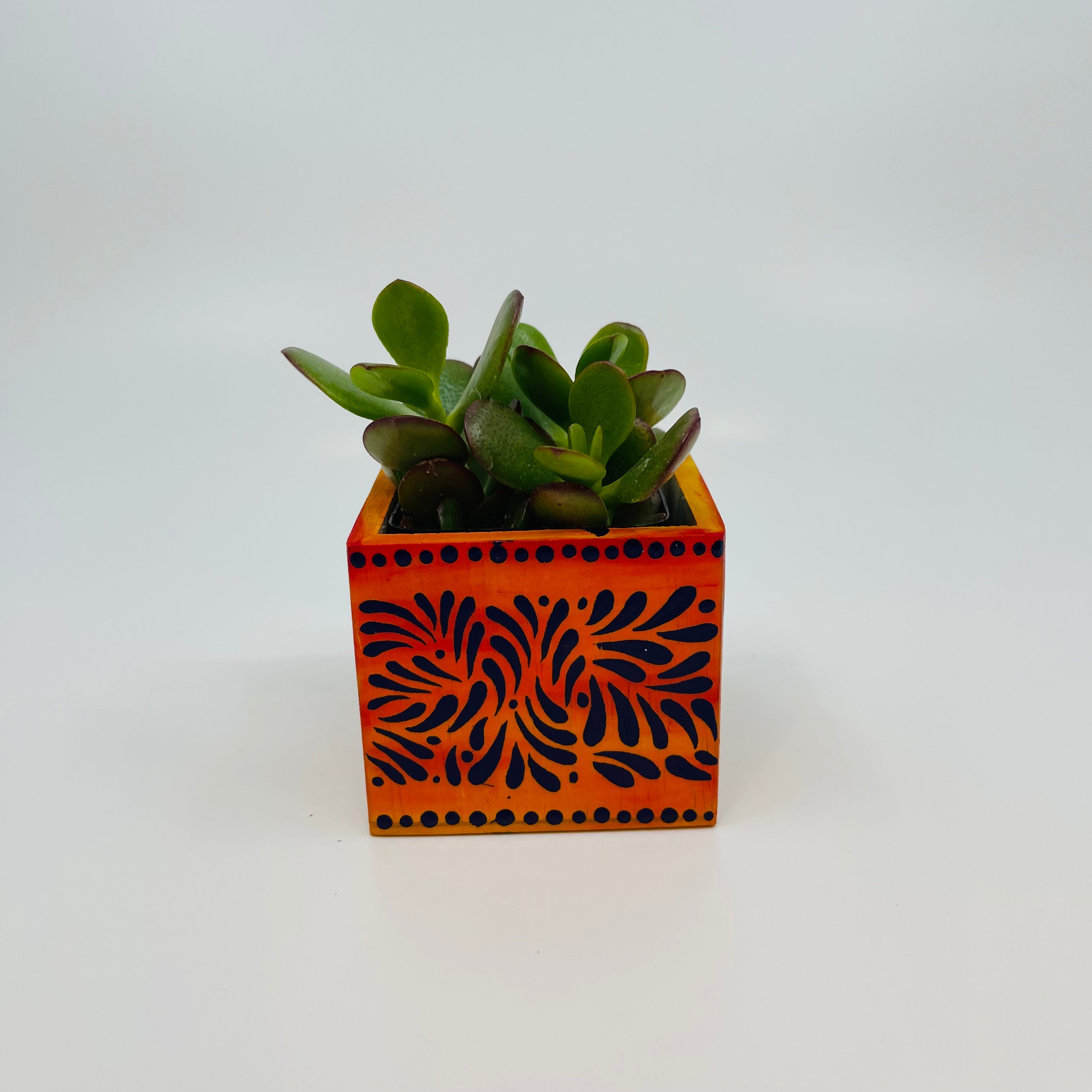 small orange plant pots Mini Orange Planter w/ Succulent