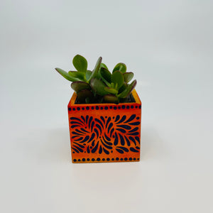 🪴 Mini Orange Planter w/ Succulent 🪴