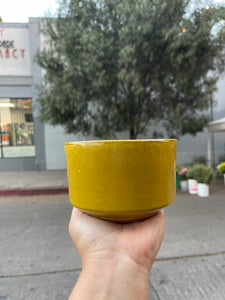 Ceramic 4” pot