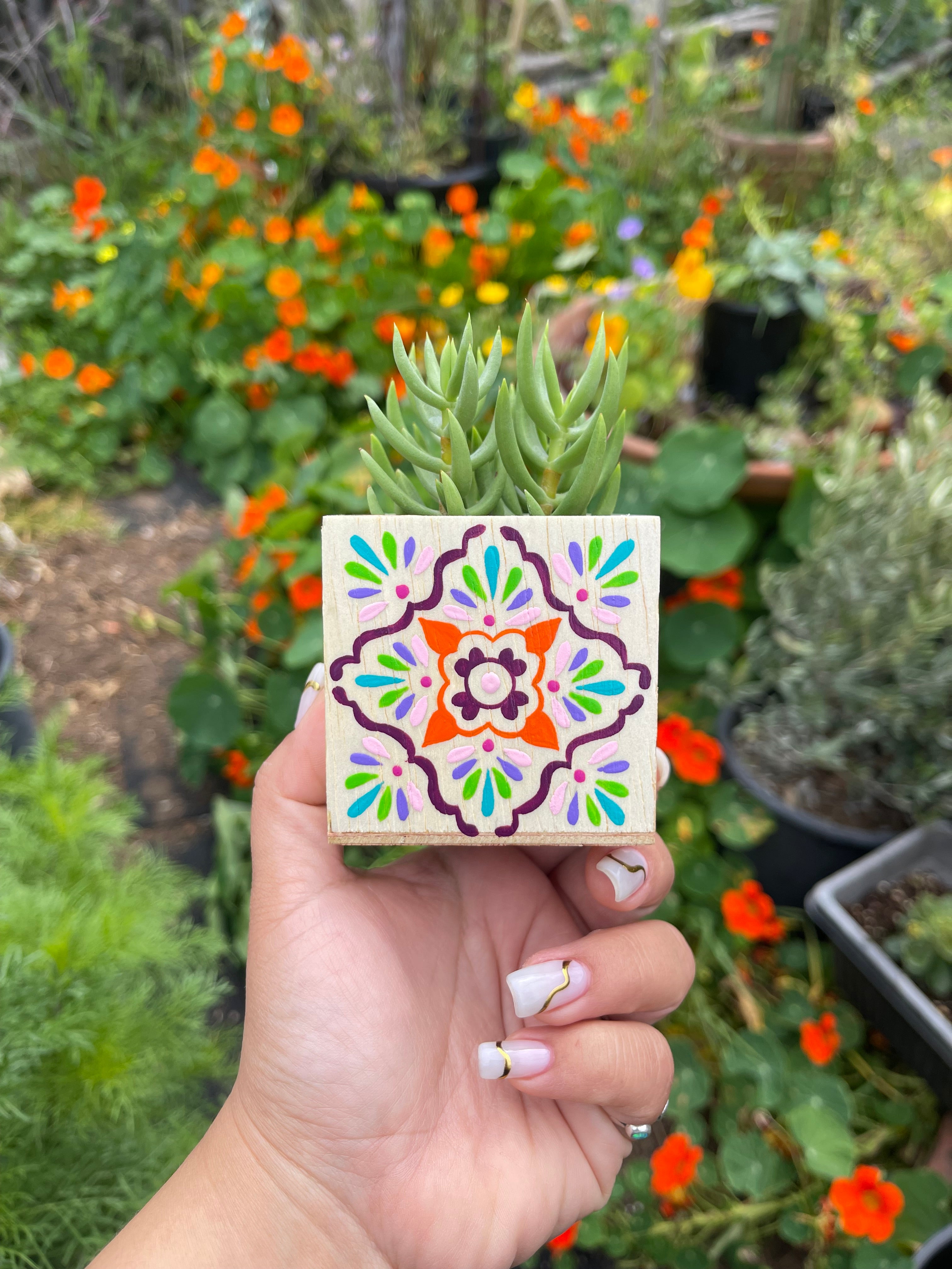 talavera succulent planter Mini Talavera Planter w/ Succulent Custom