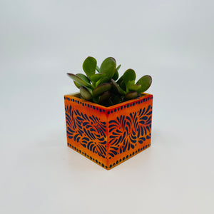 🪴 Mini Orange Planter w/ Succulent 🪴
