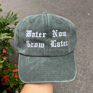 Water Now Grow Later