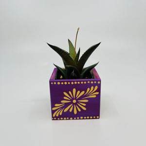 🪴 Mini Talavera Planter w/ Succulent 🪴