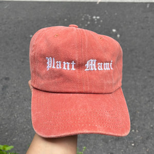 Old English-Plant Mami Hat