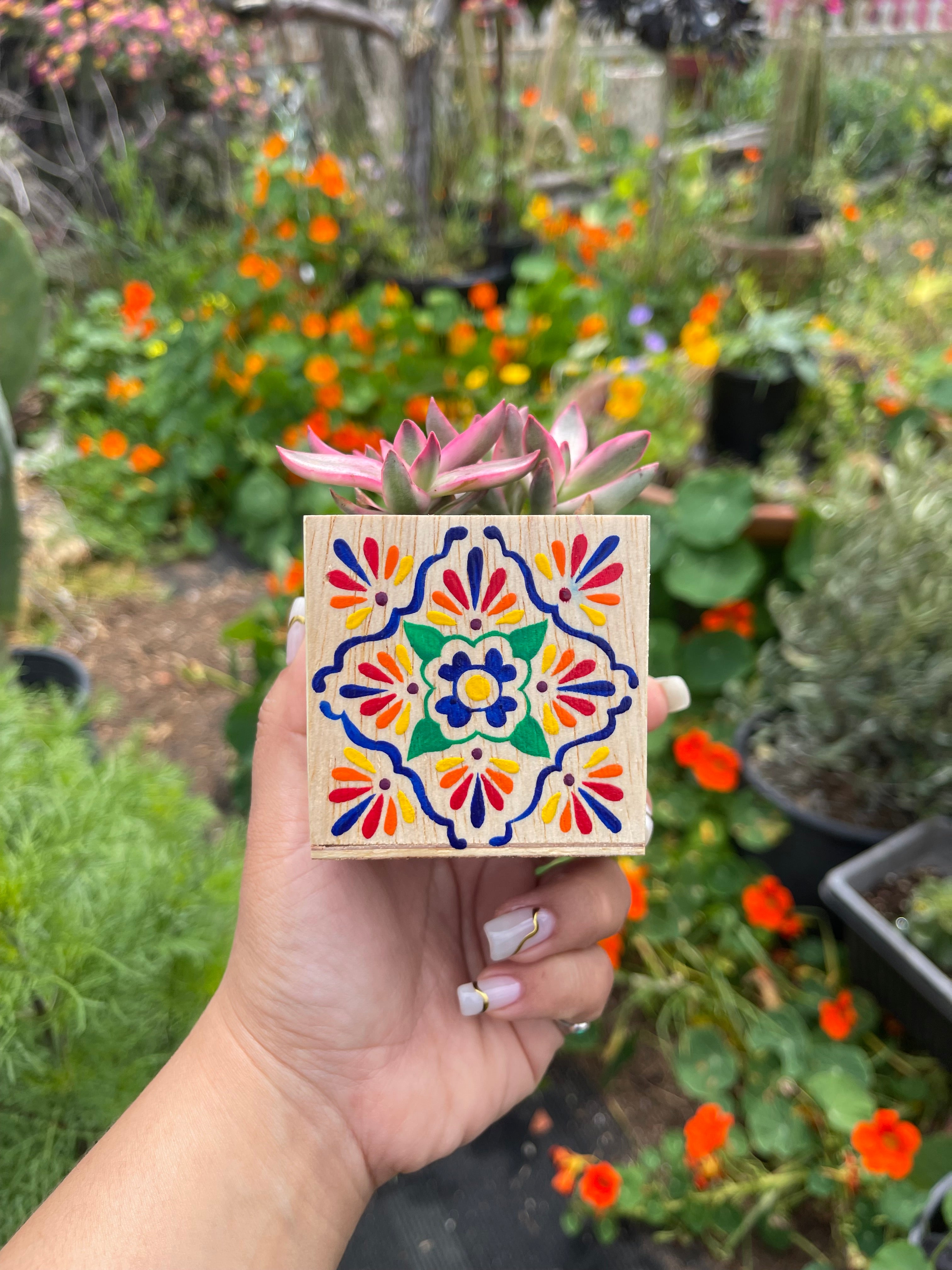 🪴 Mini Talavera Planter w/ Succulent 🪴