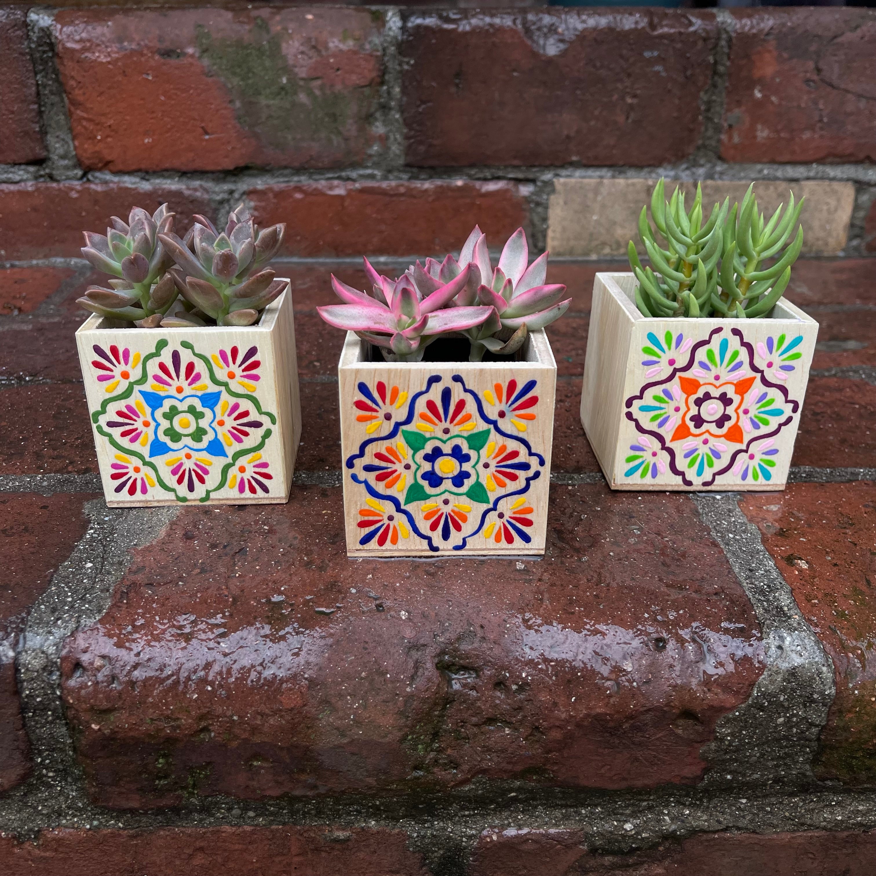 brick succulent planter Mini Talavera Planter w/ Succulent Custom