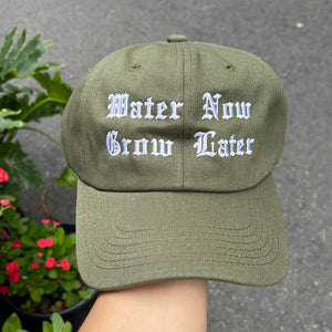 Water Now Grow Later