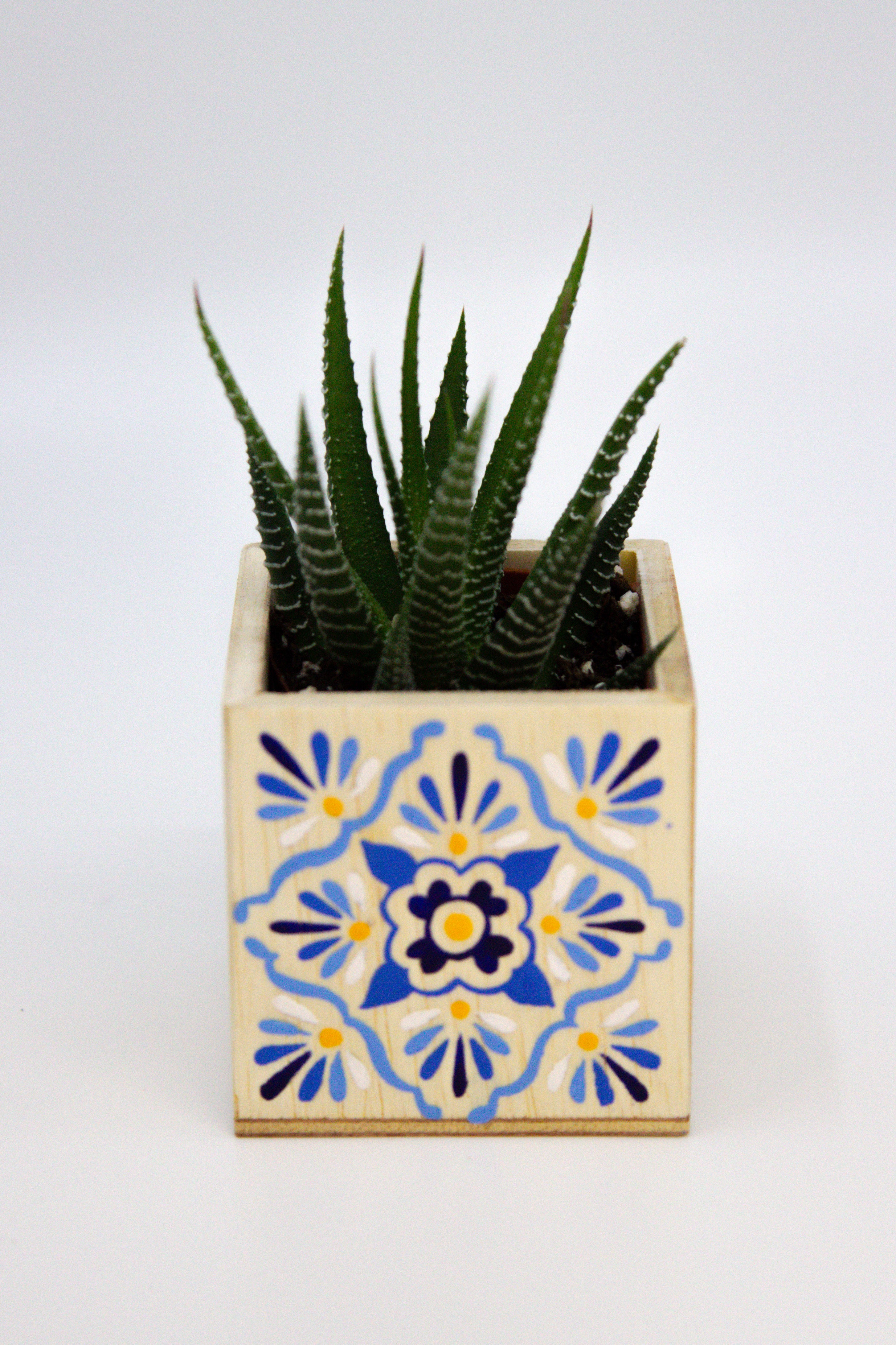 mexican succulent pots Mini Talavera Planter w/ Succulent Custom