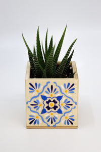 🪴 Mini Talavera Planter w/ Succulent 🪴