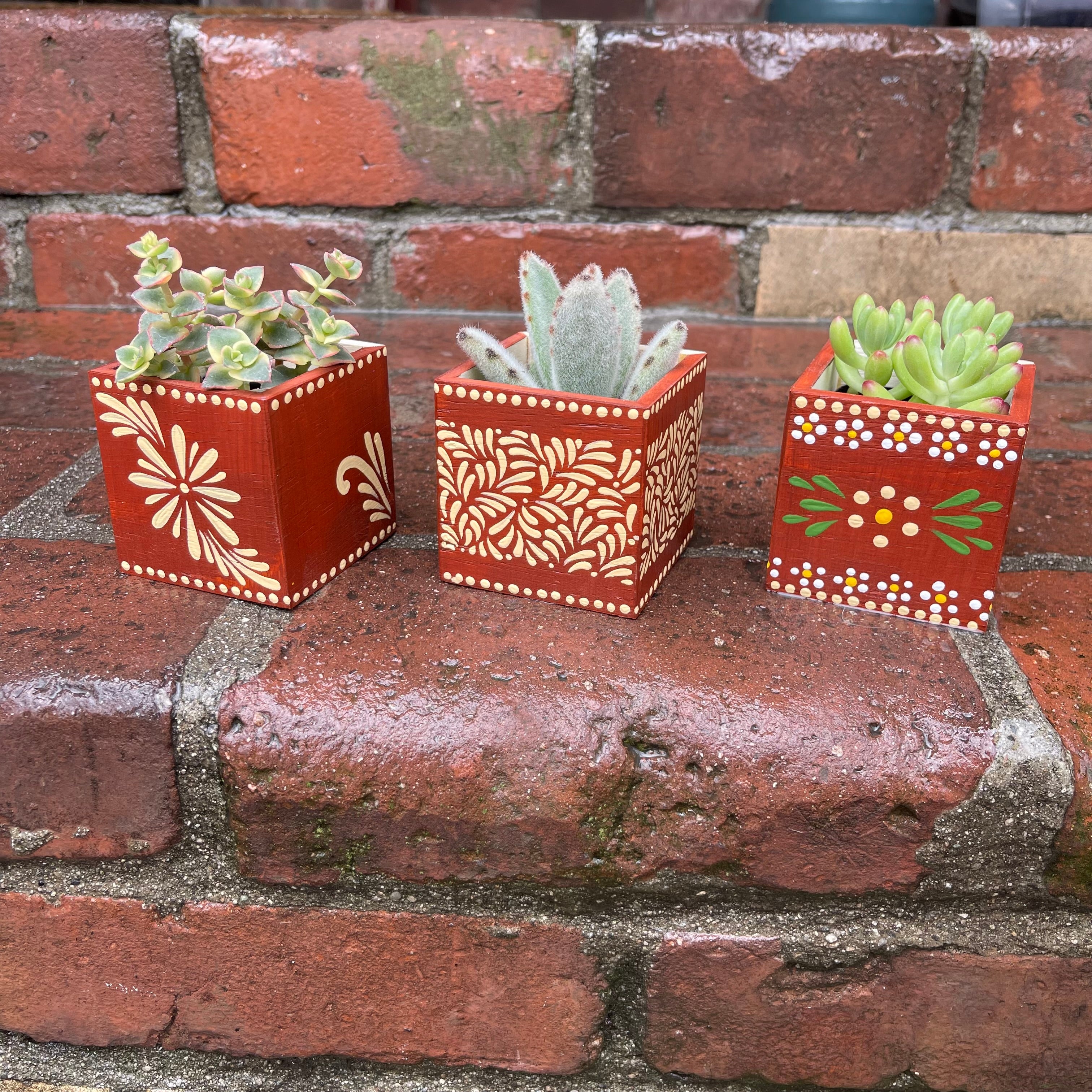 flower pots for succulents Mini Olla Planter w/ Succulent Set of 3