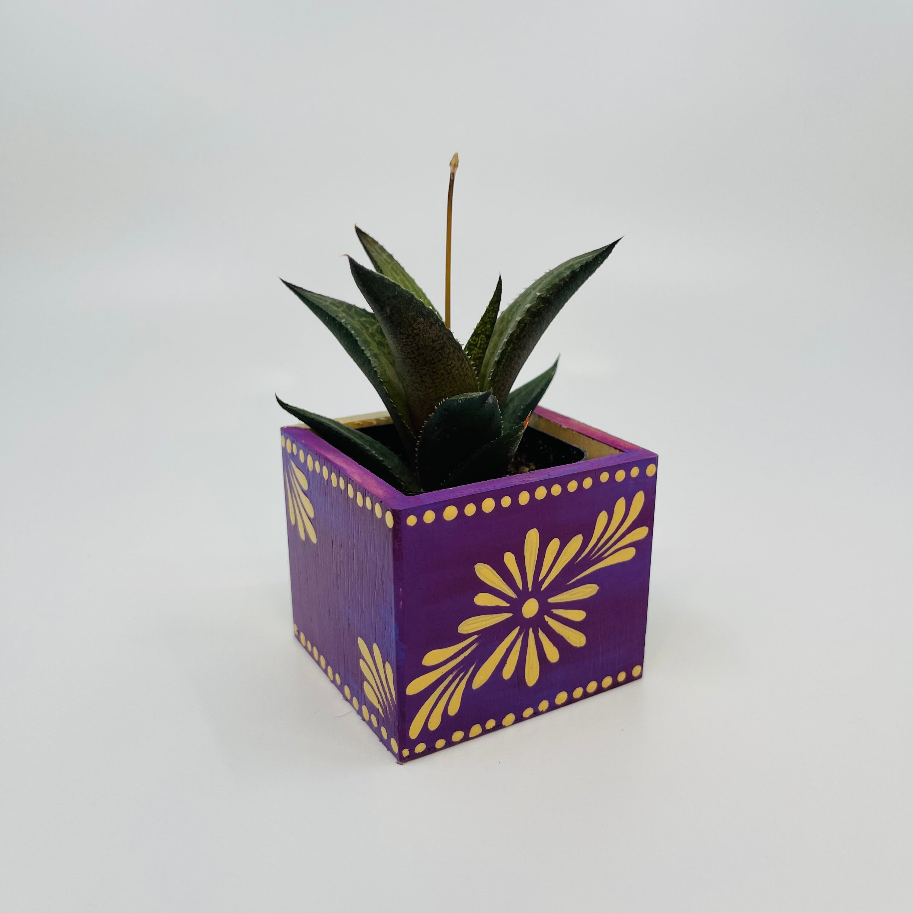 🪴 Mini Talavera Planter w/ Succulent 🪴