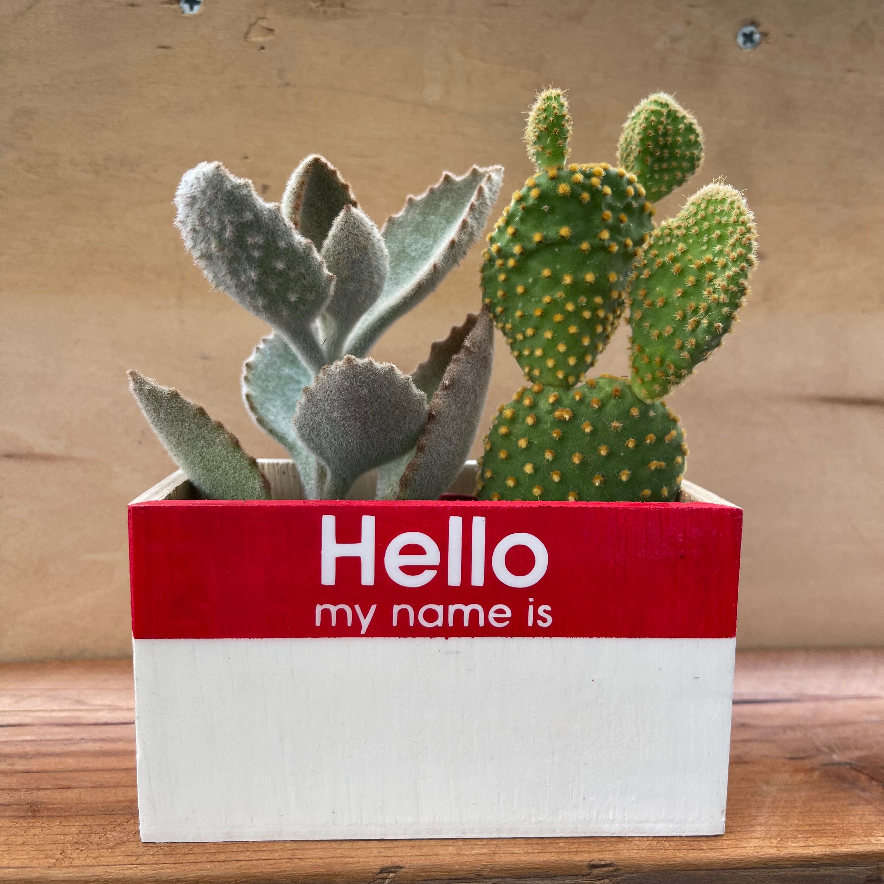 succulent name tags Name Tag Planter Classic Red Name Tag