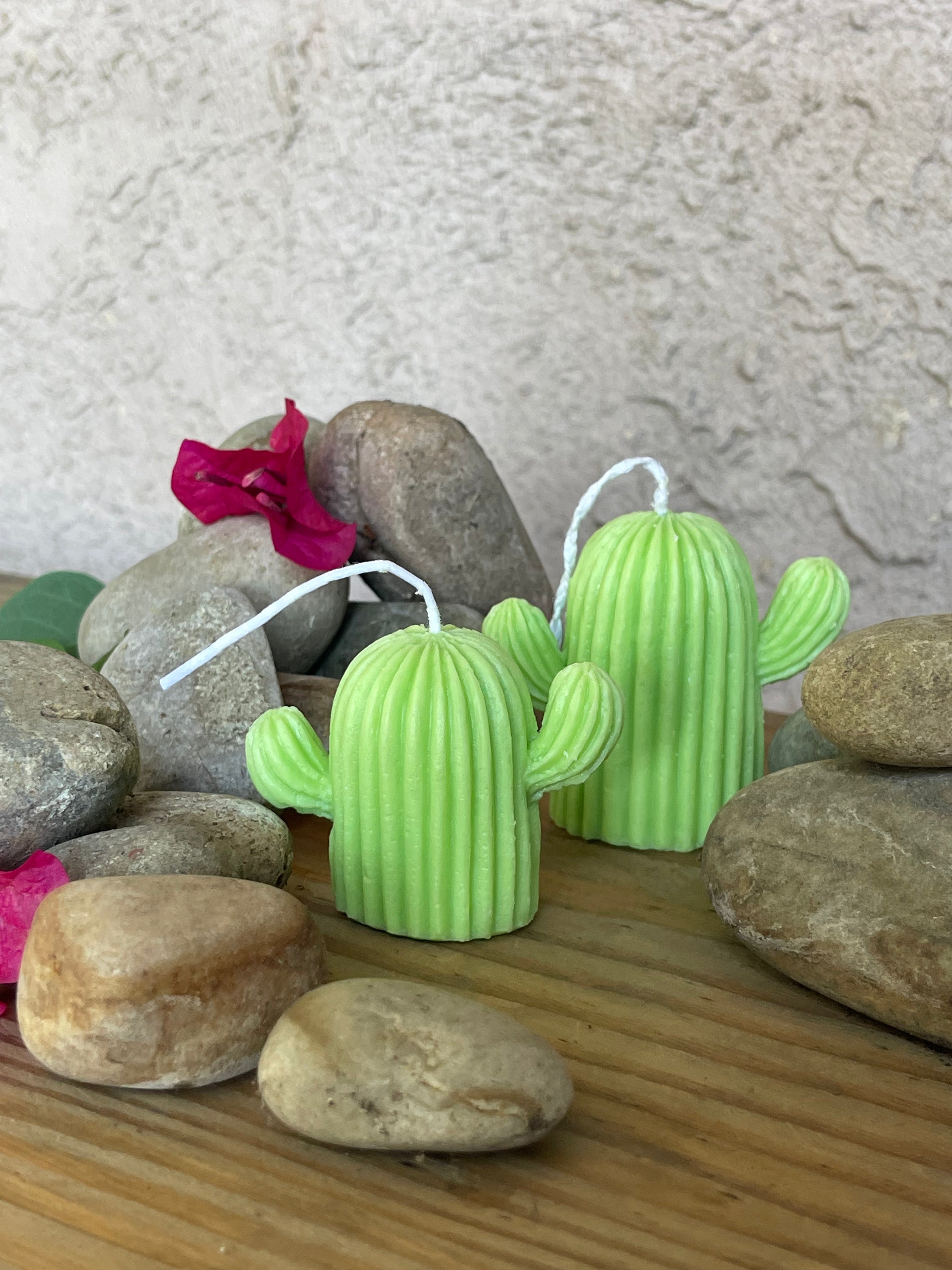 Cactus Candles