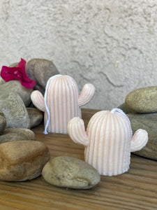 Cactus Candles