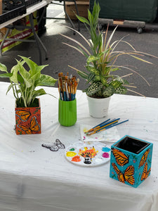 Monarch Butterfly DIY Paint & Plant Kit