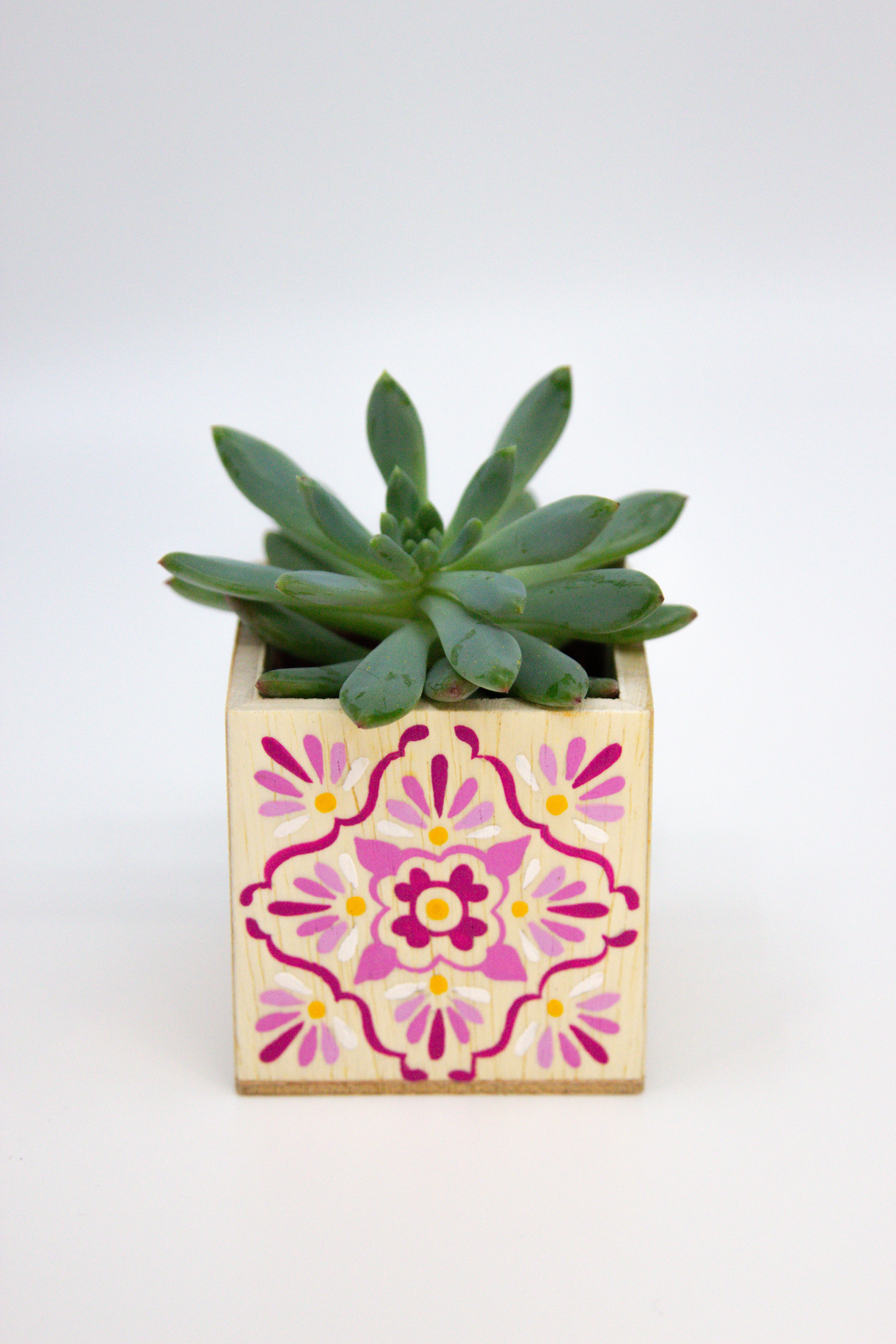 🪴 Mini Talavera Planter w/ Succulent 🪴