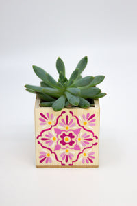 🪴 Mini Talavera Planter w/ Succulent 🪴