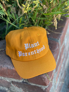 Old English-Plant Papi Hat