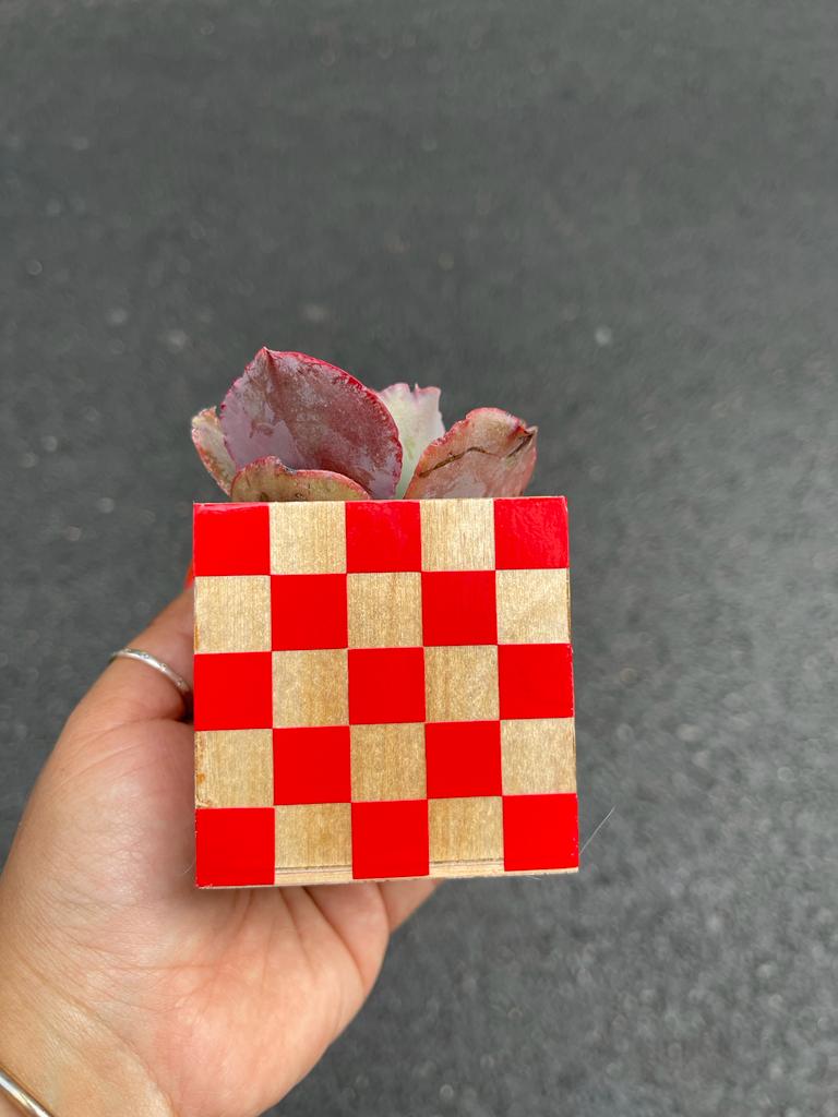Checkered Box
