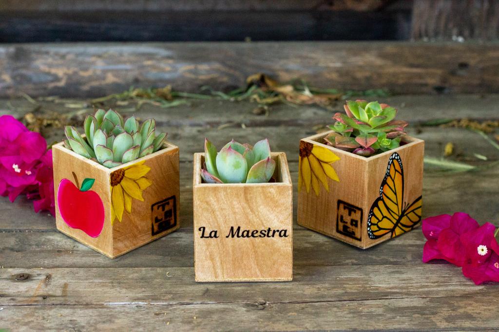 mini planters for succulents Set of 3 La Maestra Mini Planters