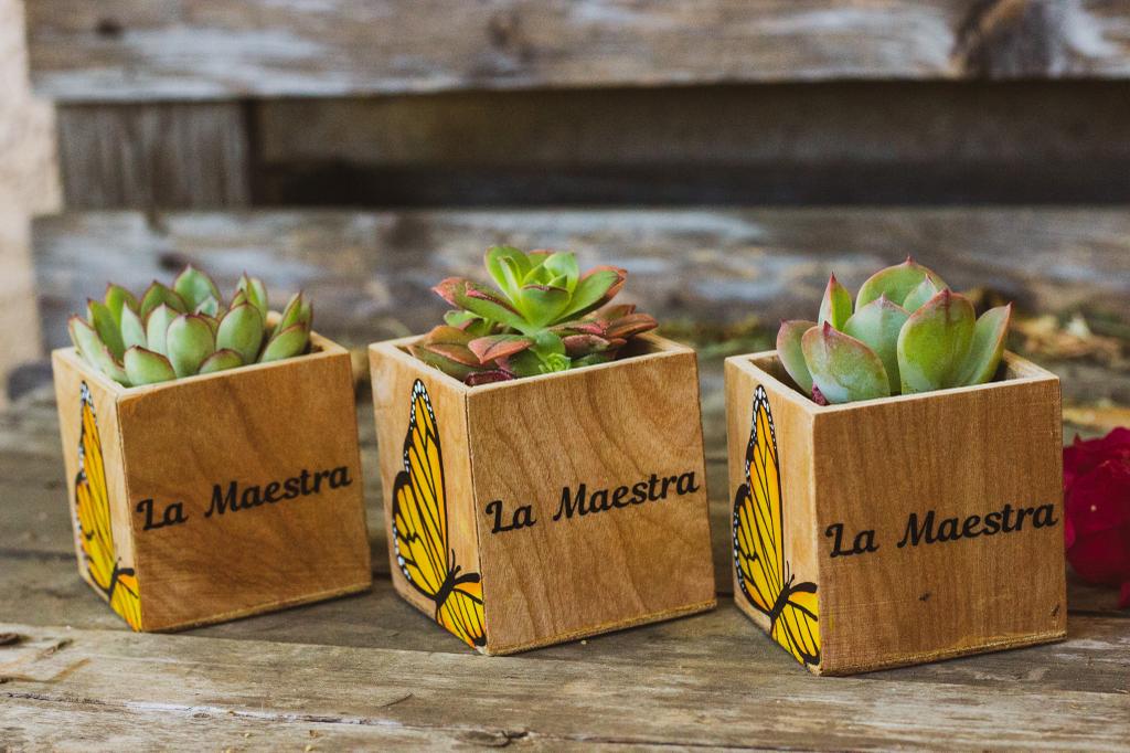 Set of 3 La Maestra Mini Planters