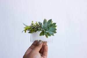 Succulent Hair Comb