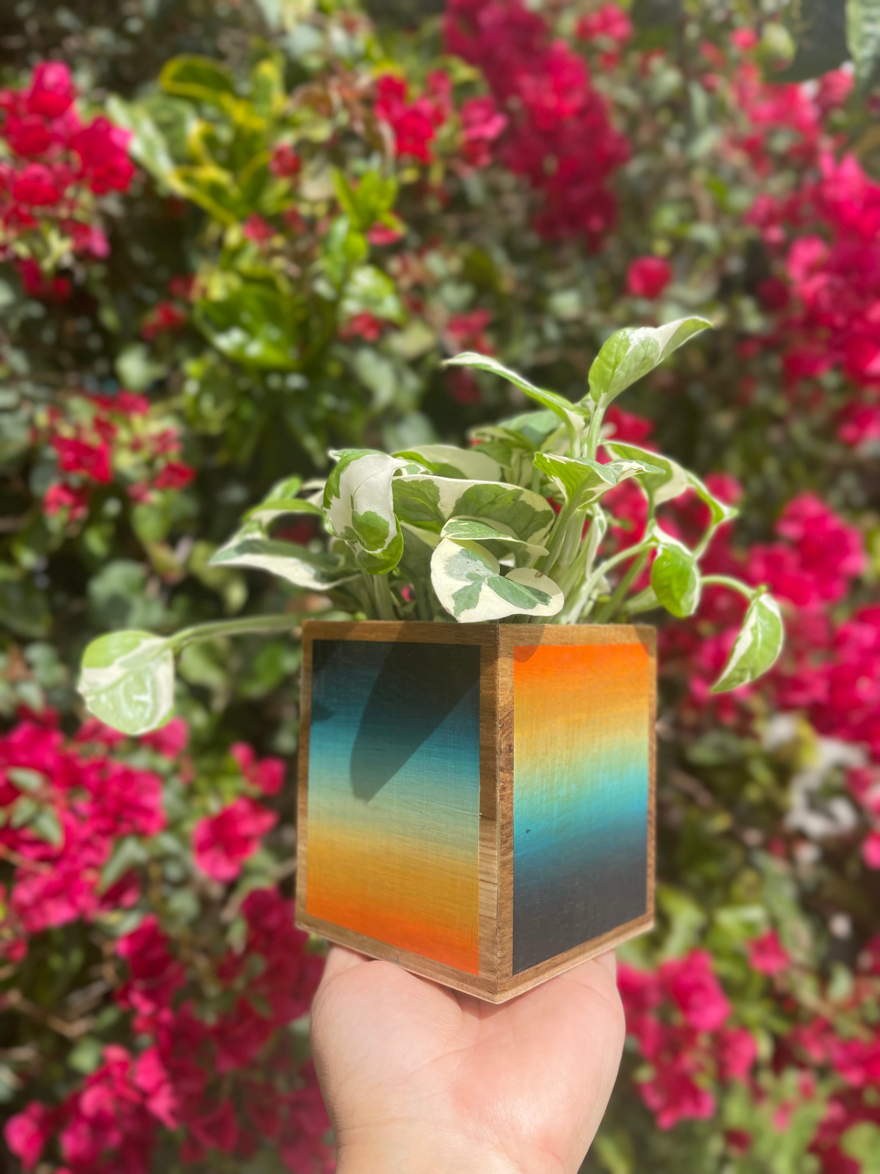 epoxy resin plant pot Sunset Vibes Planter Right