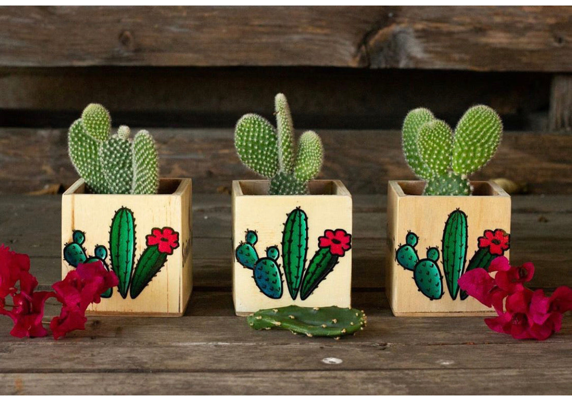 Set of 3 Cactus Planters