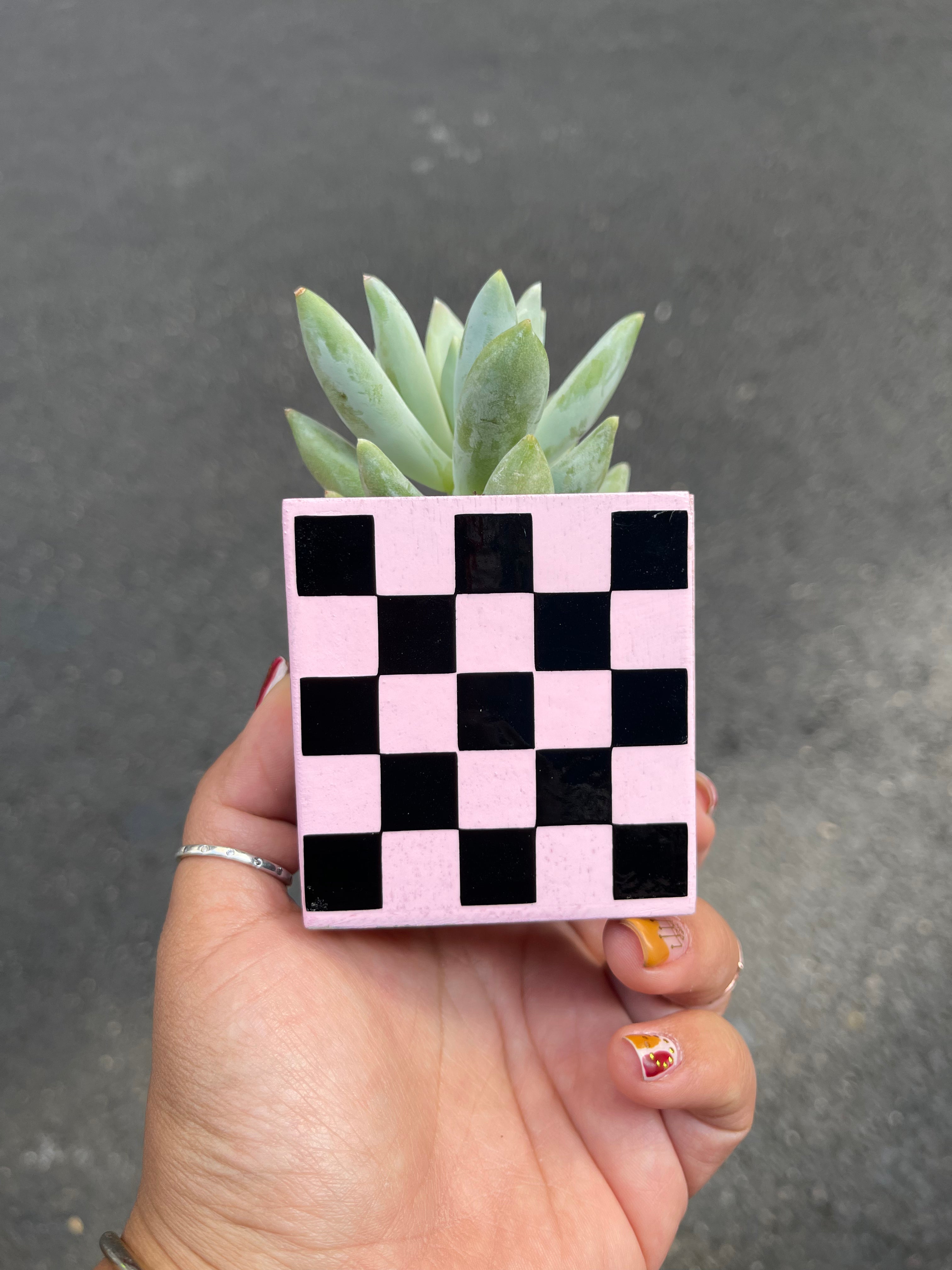 Checkered Planter