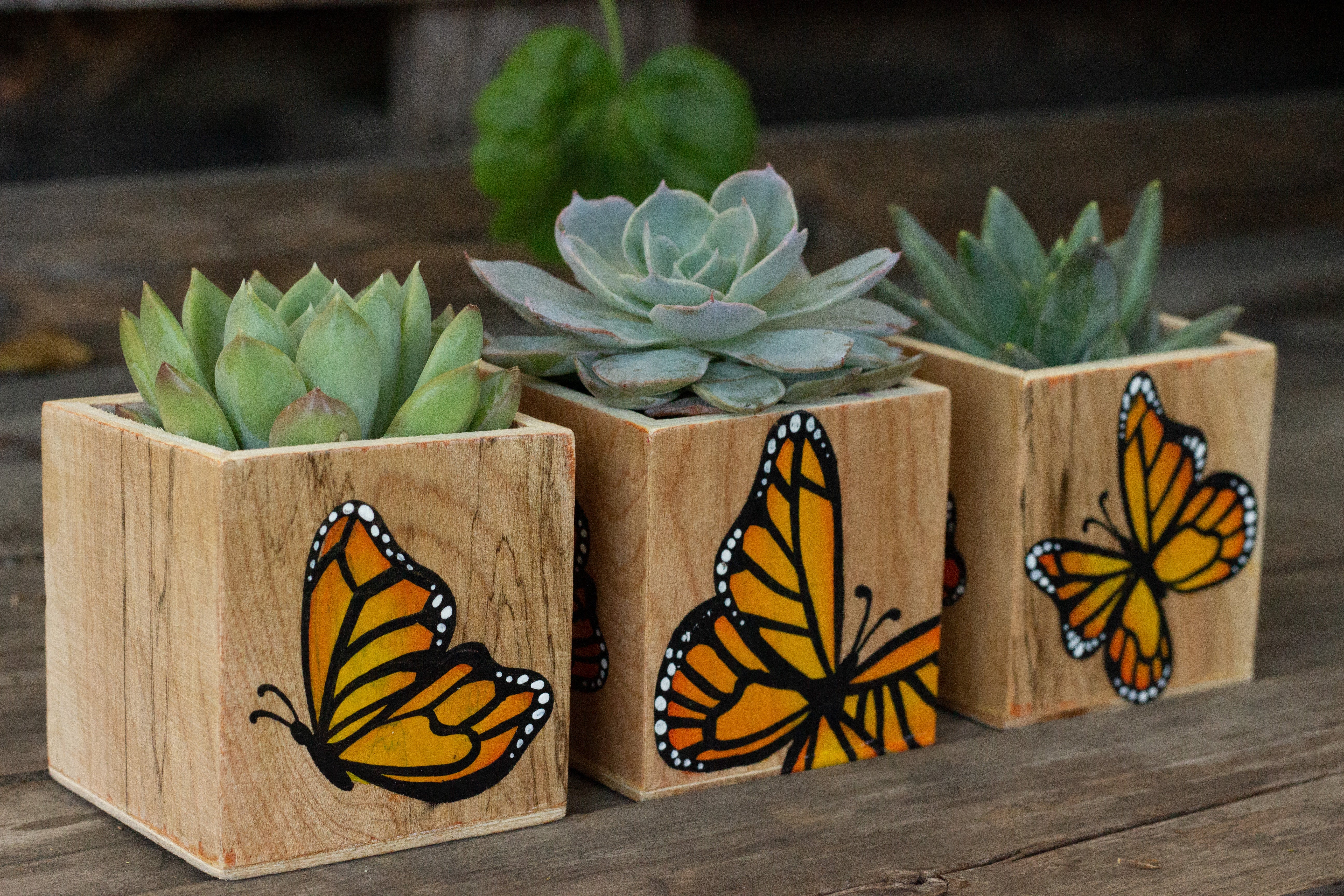 butterfly plant pot Set of 3 Monarch Butterfly Planters