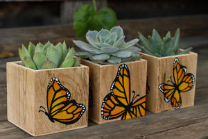 Set of 3 Monarch Butterfly Planters