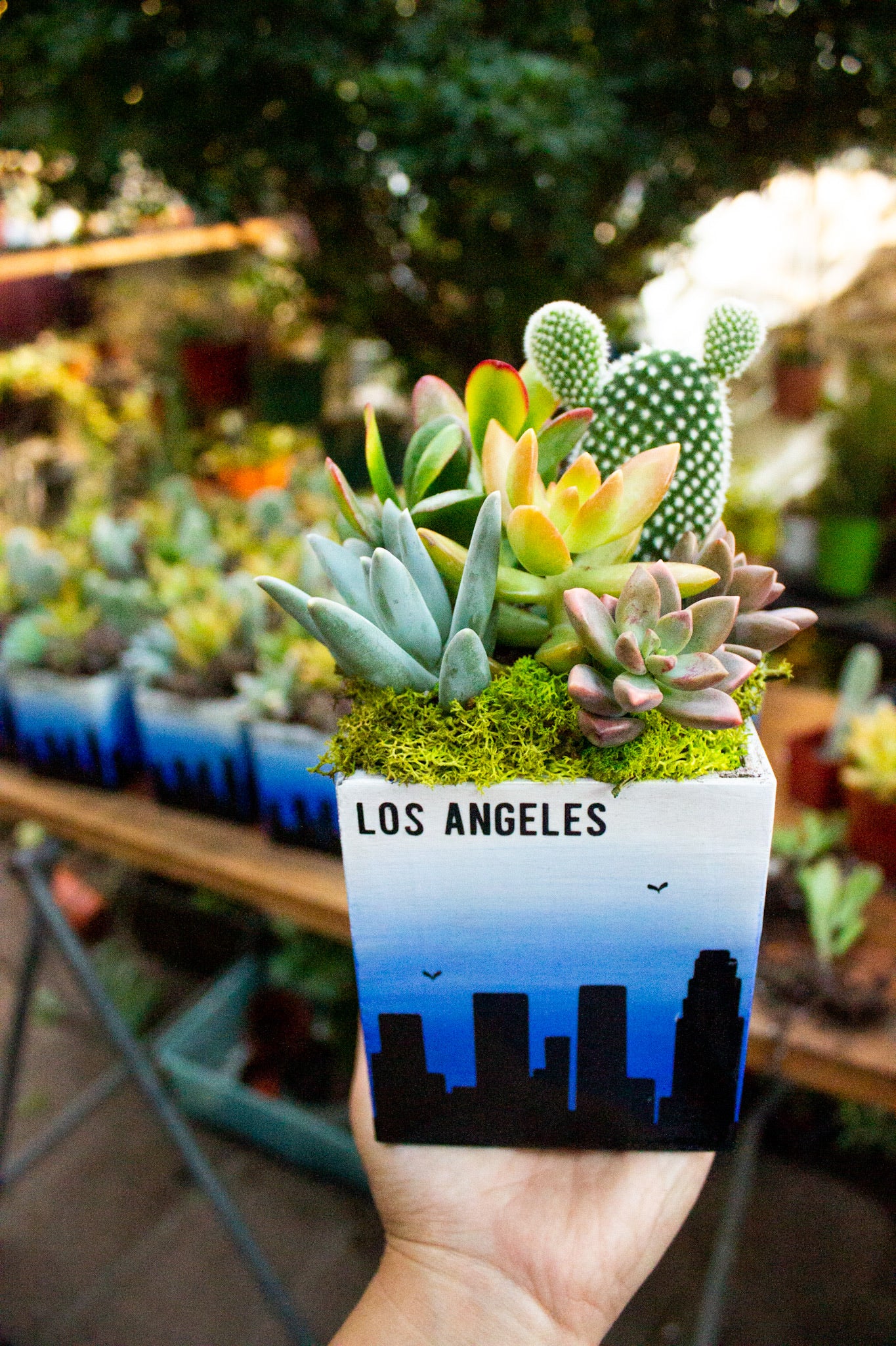 potted plants los angeles Los Angeles