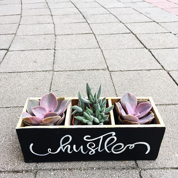 Custom Triad Box with Succulents