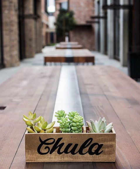 Custom Triad Box with Succulents